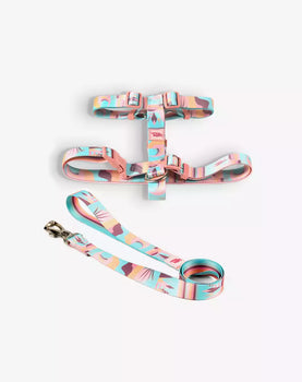 Conjunto Peitoral H e Guia Atacama